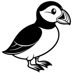 vector illustration of a cartoon bird