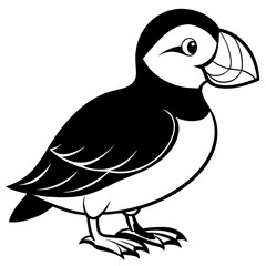 vector illustration of a duck