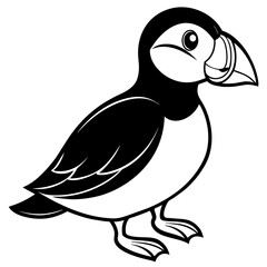 black and white parrot