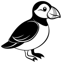 vector illustration of a duck