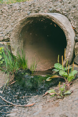 Concrete drain pipe outlet with rainwater runoff, surrounded by green grass, moss, and plants,...
