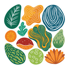 Various type of vector healthy natural fruit food composition illustration