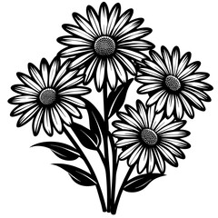 black and white daisy