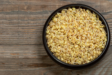 Home sprouted mung bean with removed green skin in a bowl on rustic wooden table. Copy space.  