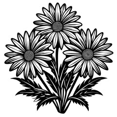 black and white flowers