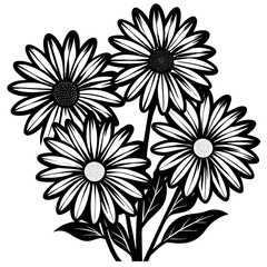 black and white flowers