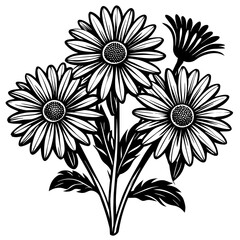 black and white flowers