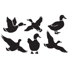 Bird Silhouettes Gooses Ducks silhouette vector illustration 