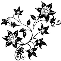 black and white floral frame