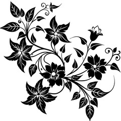 black and white floral frame