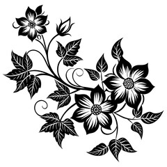 black and white floral frame