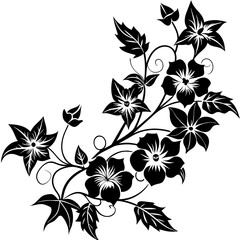 black and white floral frame