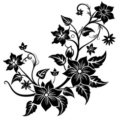 black and white floral frame