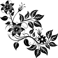 black and white floral frame