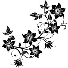 black and white floral frame
