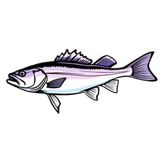 Fototapeta premium Cartoon Fish Side View Illustration PNG