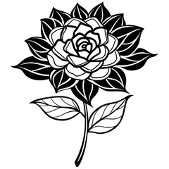 Obraz premium black and white rose flower vector illustration