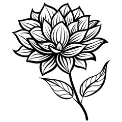 black and white rose flower vector illustration