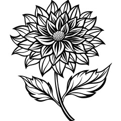 black and white rose flower vector illustration