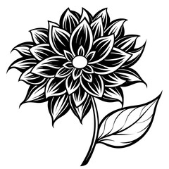 black and white rose flower vector illustration