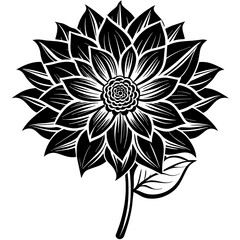 black and white rose flower vector illustration