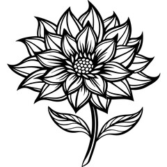 black and white rose flower vector illustration