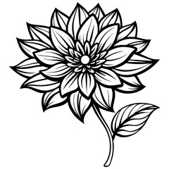 black and white rose flower vector illustration