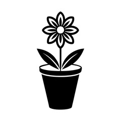 flower in flowerpot