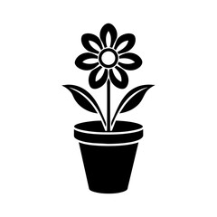 flower in flowerpot
