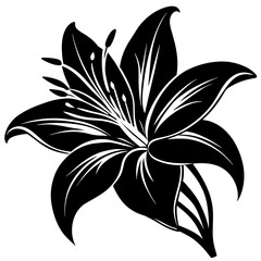 black and white flower