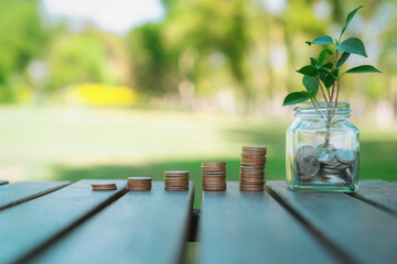 Concept of sustainable money growth investment with glass jar filled with money savings and coin stack represent eco-friendly financial investment nurtured with nature. Gyre