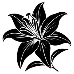 black and white flower
