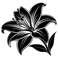 black and white flower