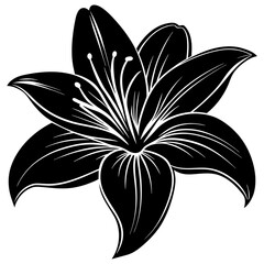 black and white lily