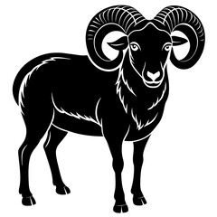 black and white goat