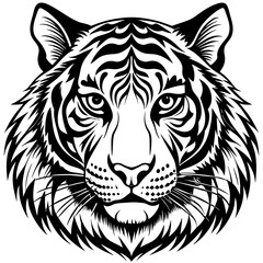 white tiger head