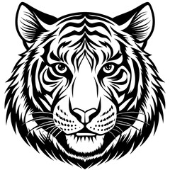white tiger head