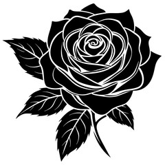 black and white rose