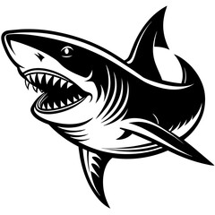 shark illustration