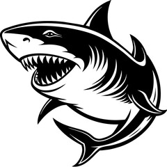 illustration of a shark