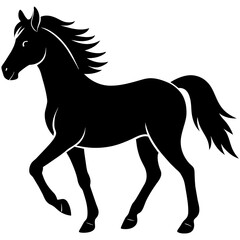 horse silhouette isolated on white