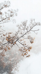 Dreamy Winter Wonderland Snowfall Magical Peaceful High Angle