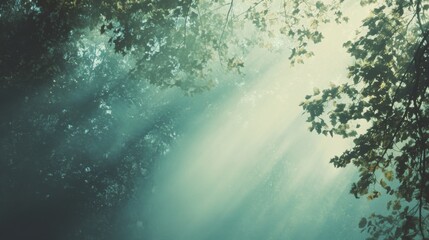 Vintage Style Management with Serene Color Palette