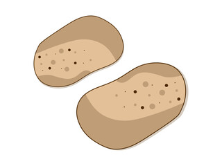 Two raw potatoes with a natural and rustic texture. A clean and minimalist presentation. Perfect for cooking and vegetable-themed designs