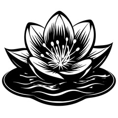 illustration of lotus flower