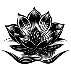 vector illustration of lotus flower