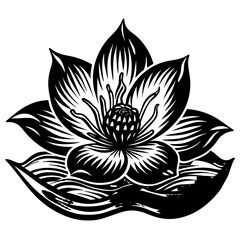 vector illustration of lotus flower