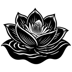 lotus flower isolated on white