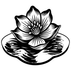 vector illustration of lotus flower