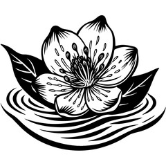 black and white lotus